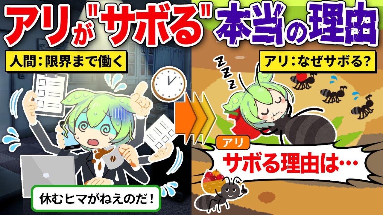 なぜアリ社会に怠け者が必要なのか？