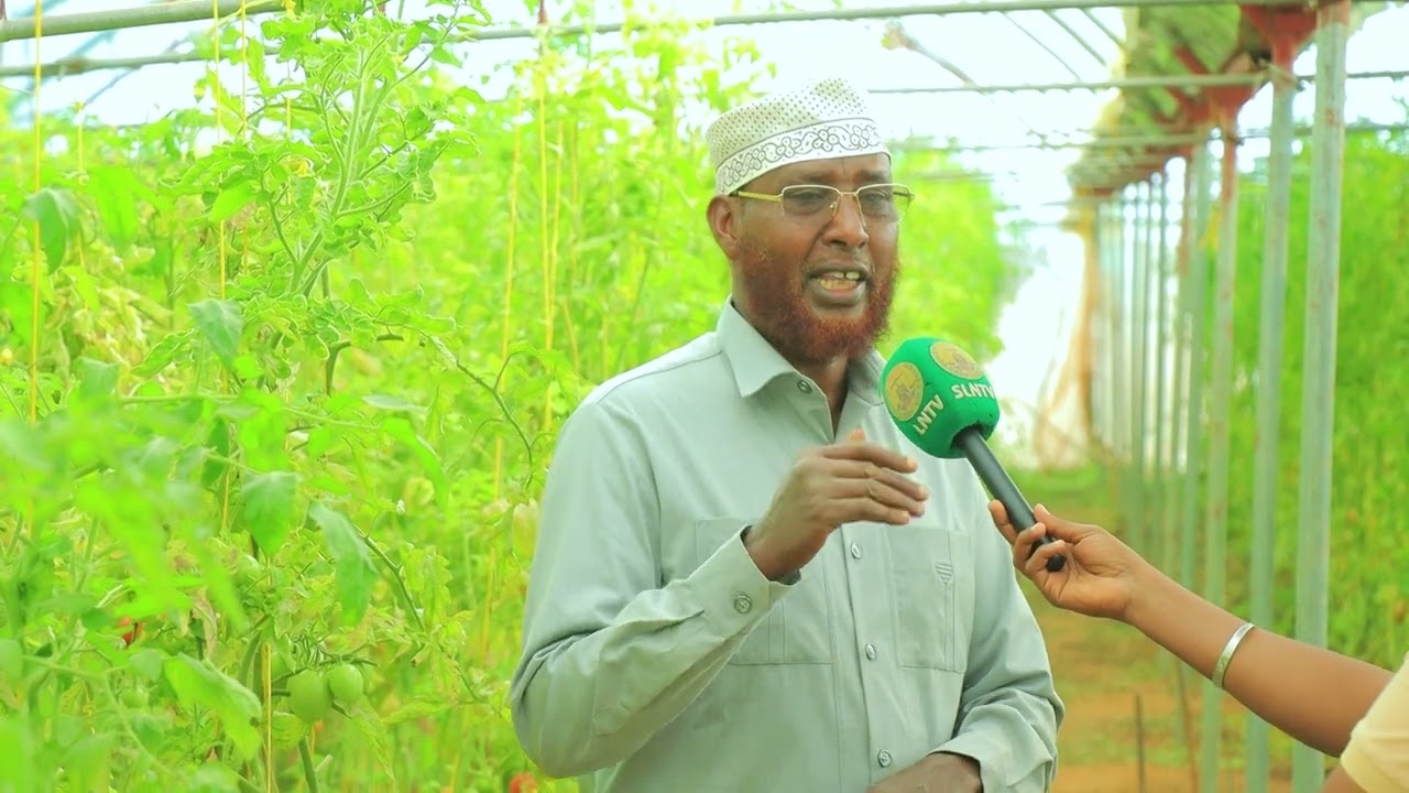 Ninka taajirka ah ee lacagta haysta hadii uu ogyahay macaashka ku jira halkan,