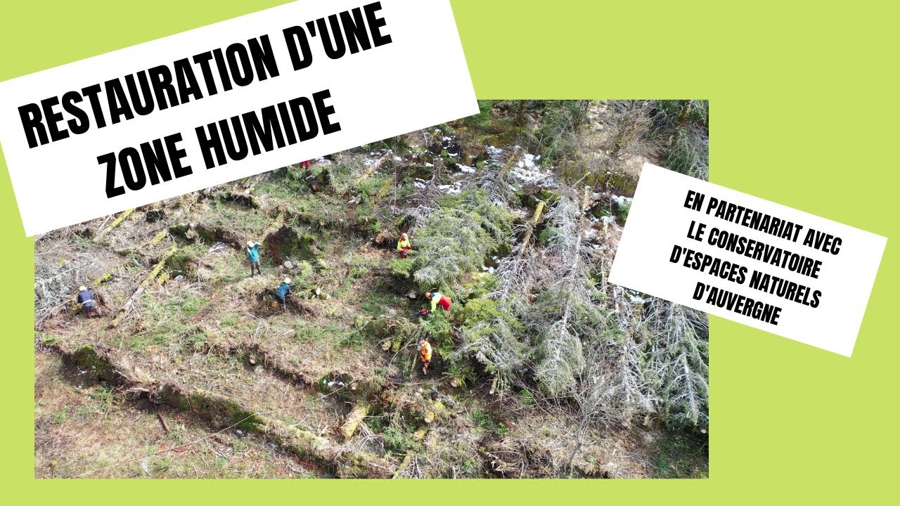 Restauration d'une zone humide