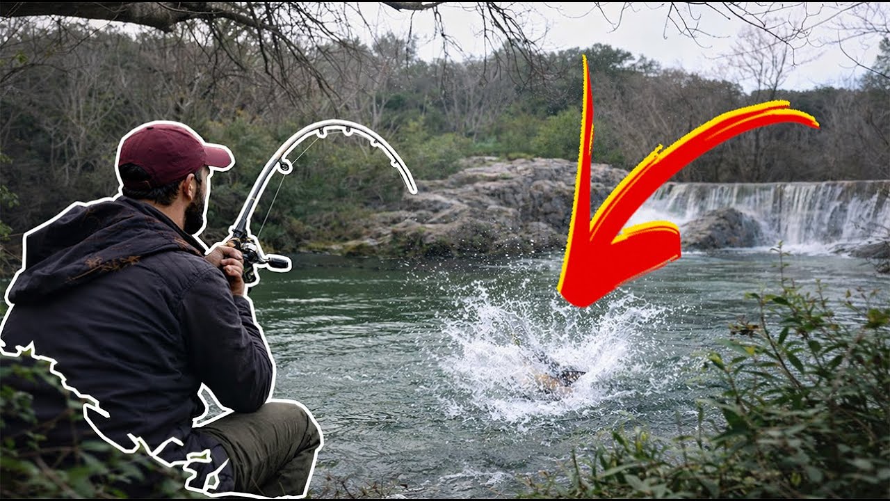 Pike, Perch & Asp Vanished—This Fish Didn’t