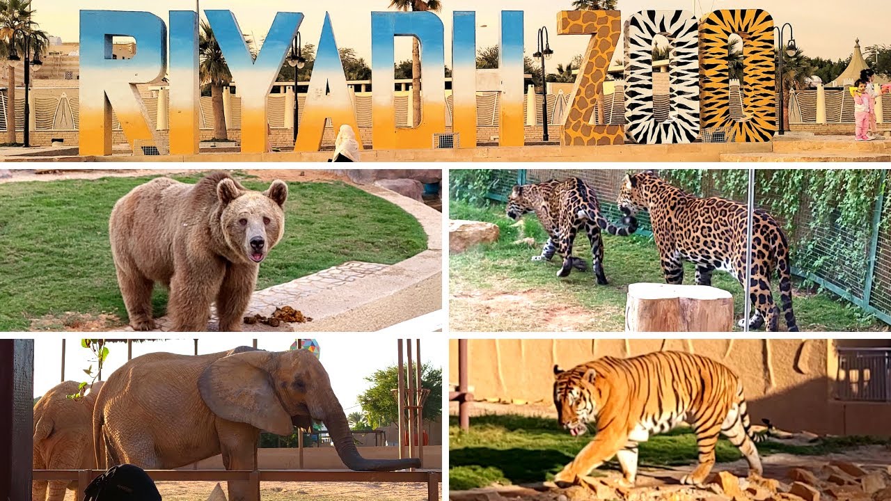 Riyadh Zoo Full tour | Zoo | KSA🇸🇦