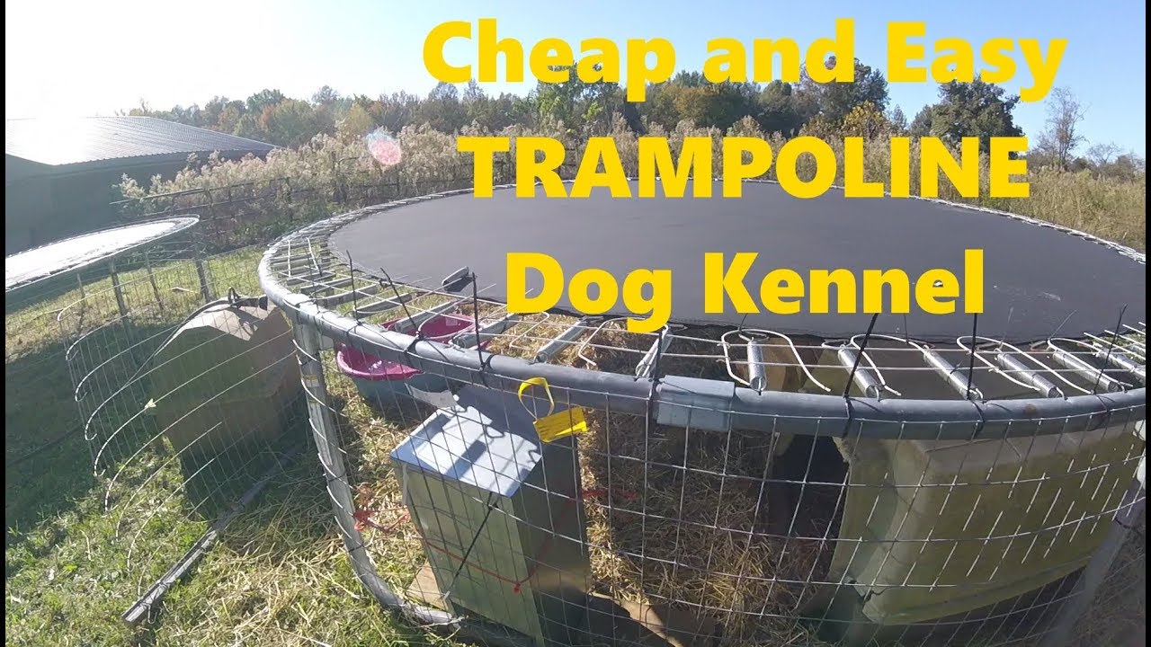 Cheap and Easy Trampoline Dog Kennel