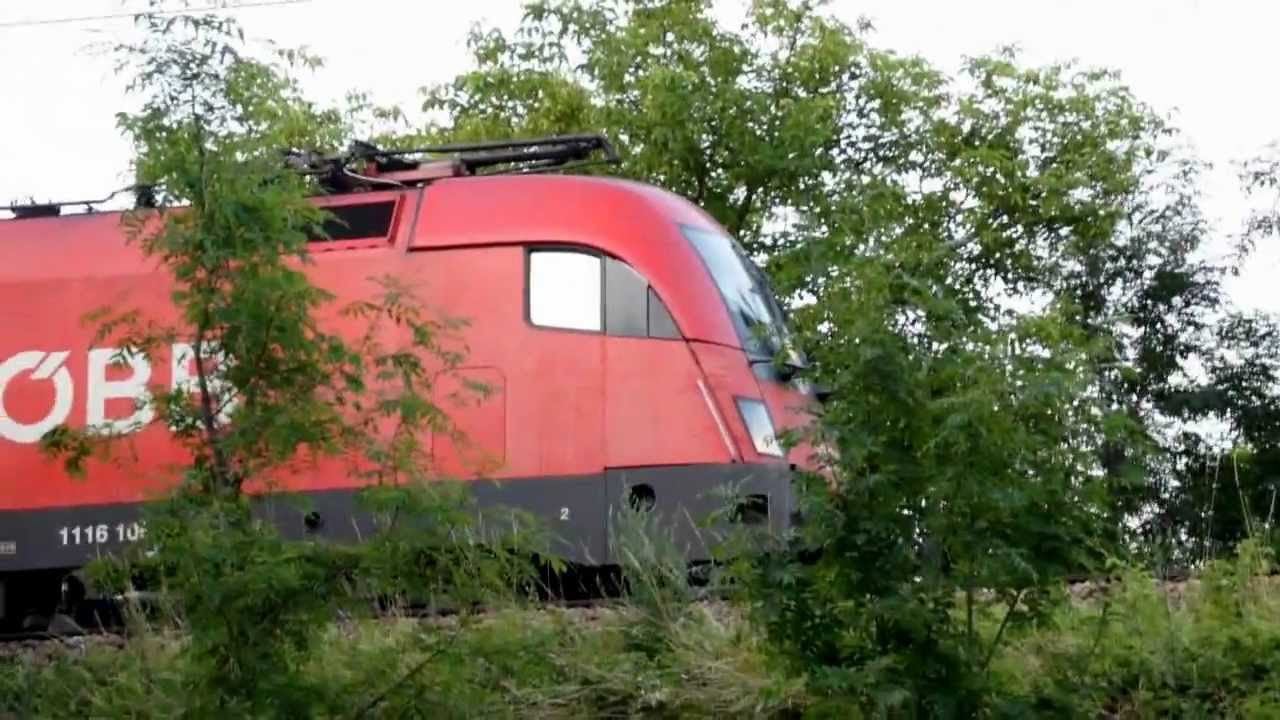 Lokführer macht mit Taurus Musik (Tonleiter)