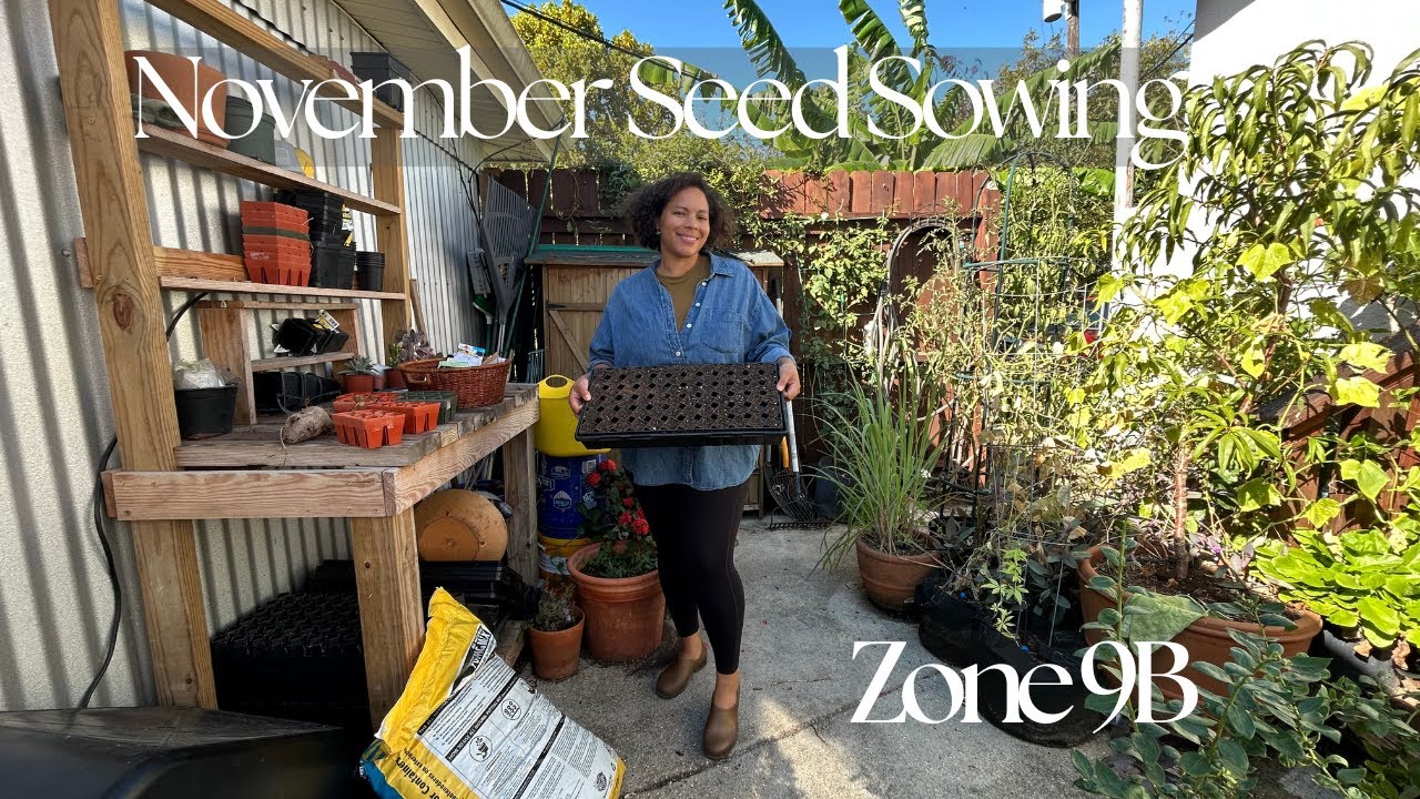The season is just beginning for zone 9B | What I'm sowing in November
