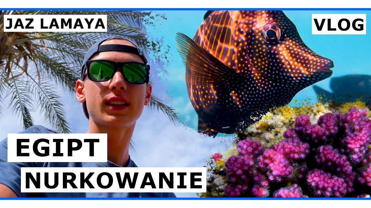 Egipt - Nurkowanie i rafa koralowa w Coraya Bay (Jaz Lamaya)🌴🐠 | 4K