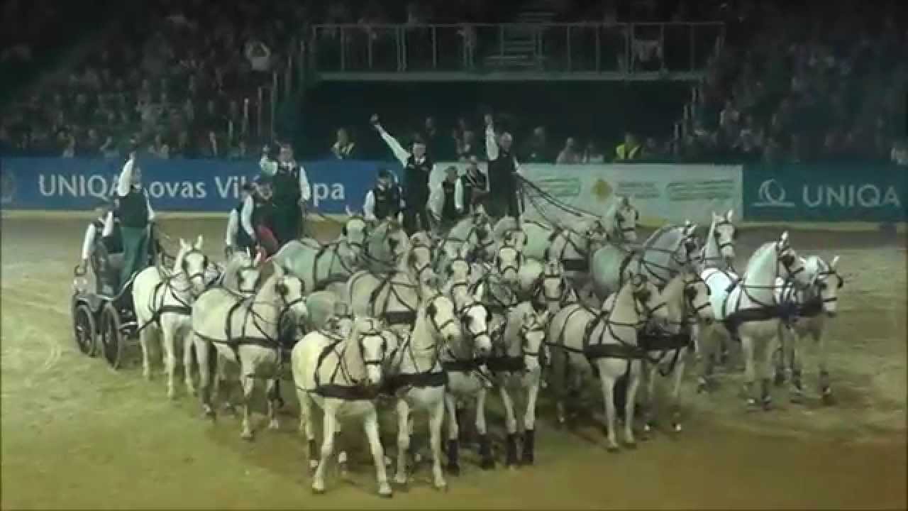 UNIQA Lovas Világkupa 2014 - Hatosfogat karüsszel