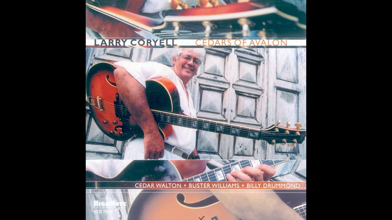 Larry Coryell - It Could Happen to You