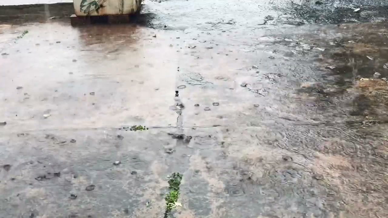 Heavy Rain Sound Drop in The Yard - Beat Insomnia to Sleep Instantly in 5 Minutes | ASMR White Noise