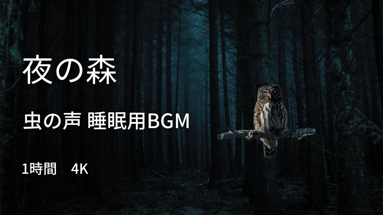 Night Forest Crickets | 1 Hour Sleep Music | 4K Nature Sounds