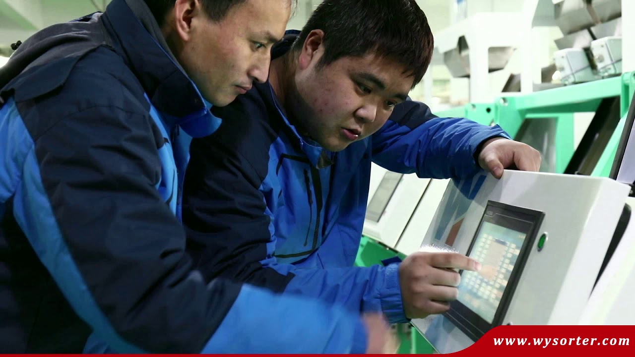 Wenyao color sorter