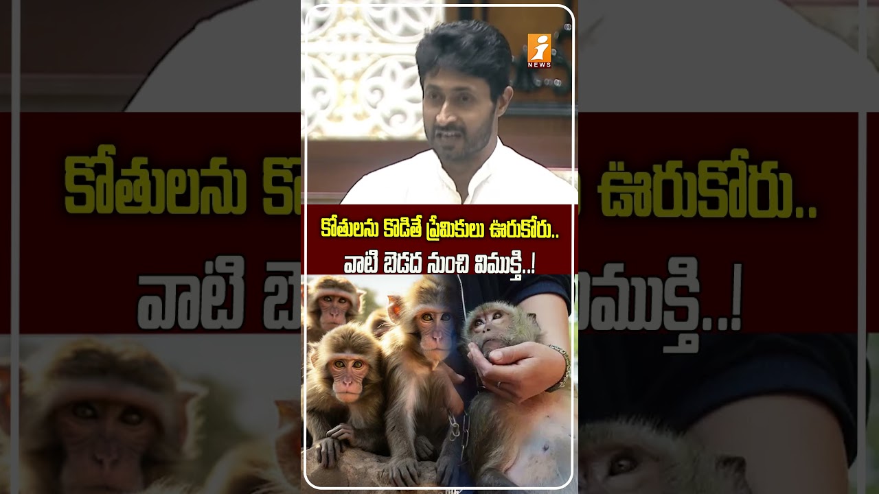 కోతుల కష్టాలు.! Monkey Menace Jayaveer Reddy Raises Vegetable&Fruit Vendors&rsquo; Issue in Assembly
