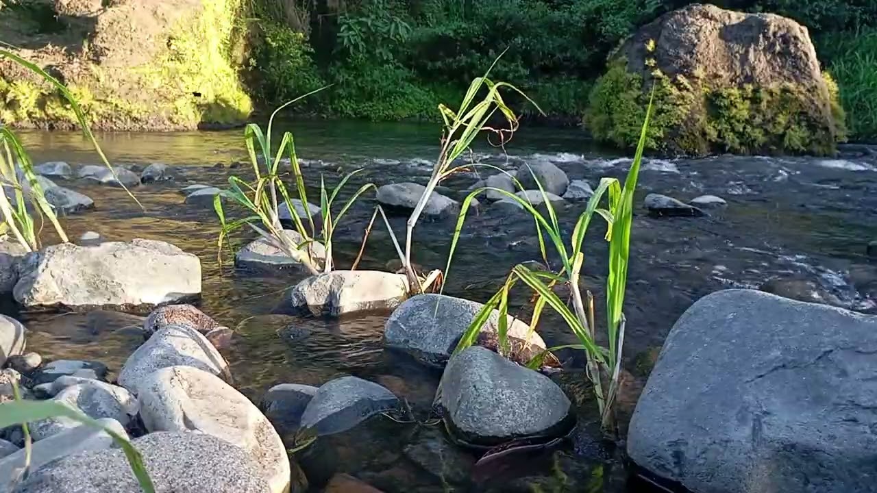 Night River Sounds | Water Flow Under Moonlight for Sleep