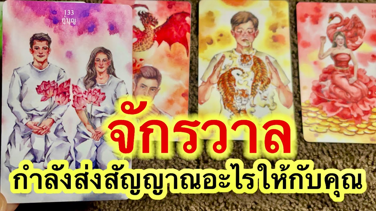 Random🩷 จักรวาลกำลังส่งสัญญาณอะไรให้กับคุณ #ดูดวง #tarot #tarotreading #ไพ่ยิปซี  #ไพ่ทาโรต์ 