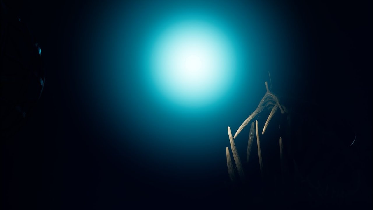 THE THING... (Backrooms level 7 thalasophobia)
