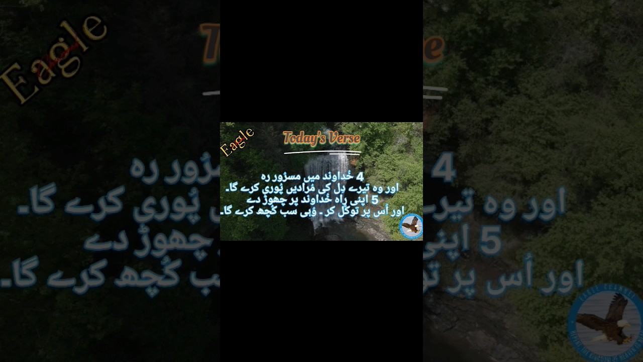 |فجر دی کُوک||Fajer De kook