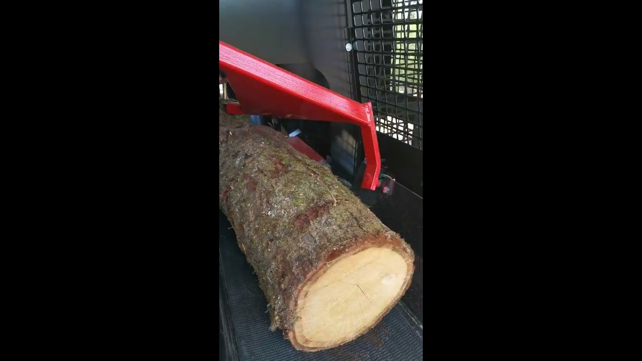 Combine bois de chauffage a disque Palax C1000 avec DECK MEGA