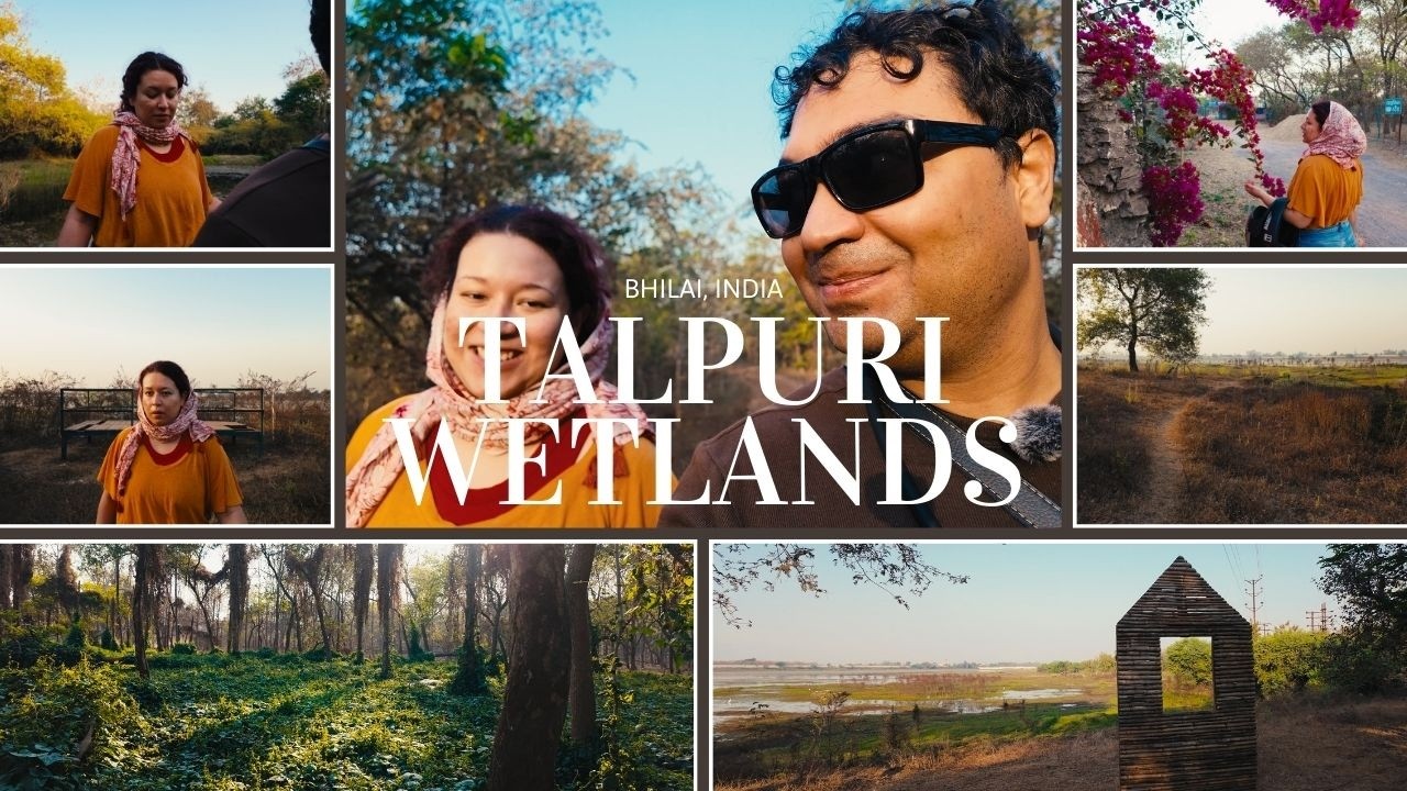 Morning Hike at Talpuri Wetlands Park Bhilai | Scenic Views, Jungle Gym & Hidden Oasis!