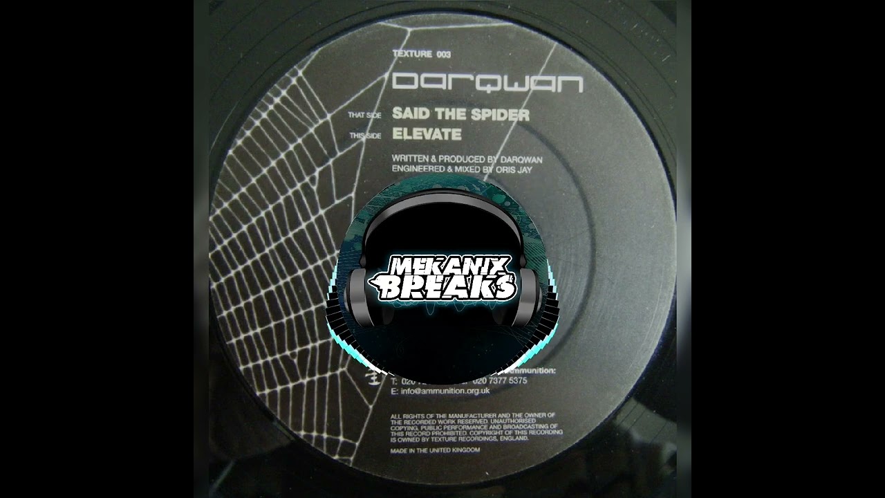 Darqwan - Said The Spider (Original Mix)