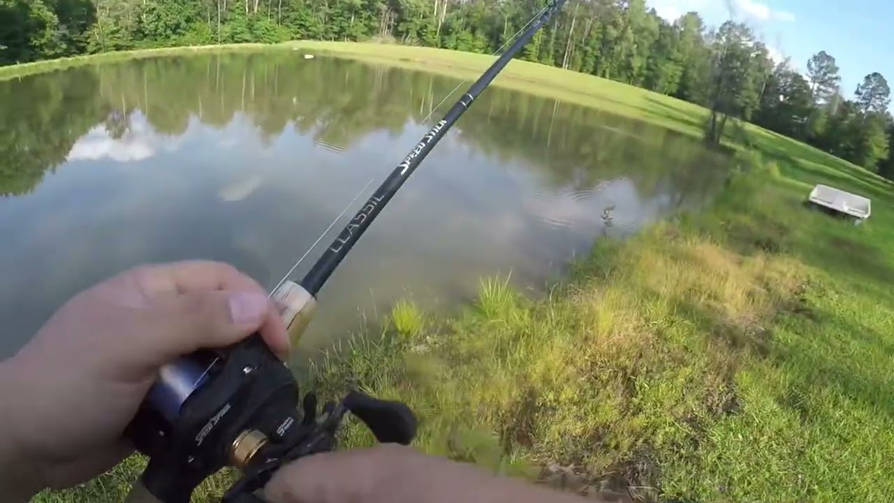 Fishing a new pond at my uncles.. *BIGGER FISH*