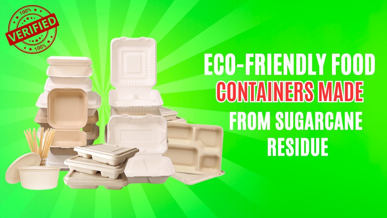 Food Containers Made from Sugarcane Residue