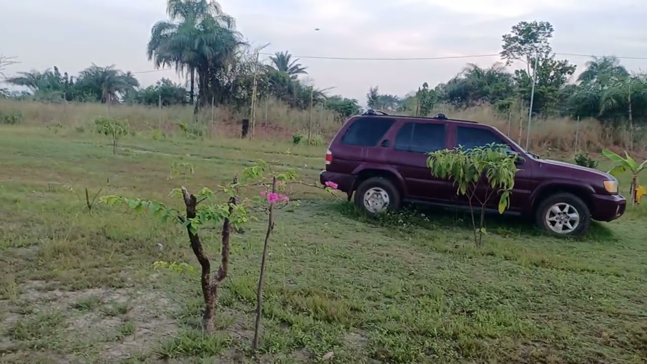 YARD! Short Tour!  Living in West Africa 🌍 🙌  Liberia 🇱🇷 🙌 ♥️ 
