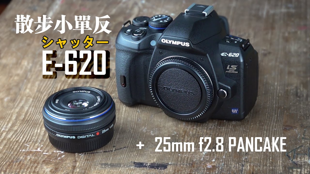 隨身相機 OLYMPUS E620 心得與照片散步快拍街拍玩具 AG復古老數位