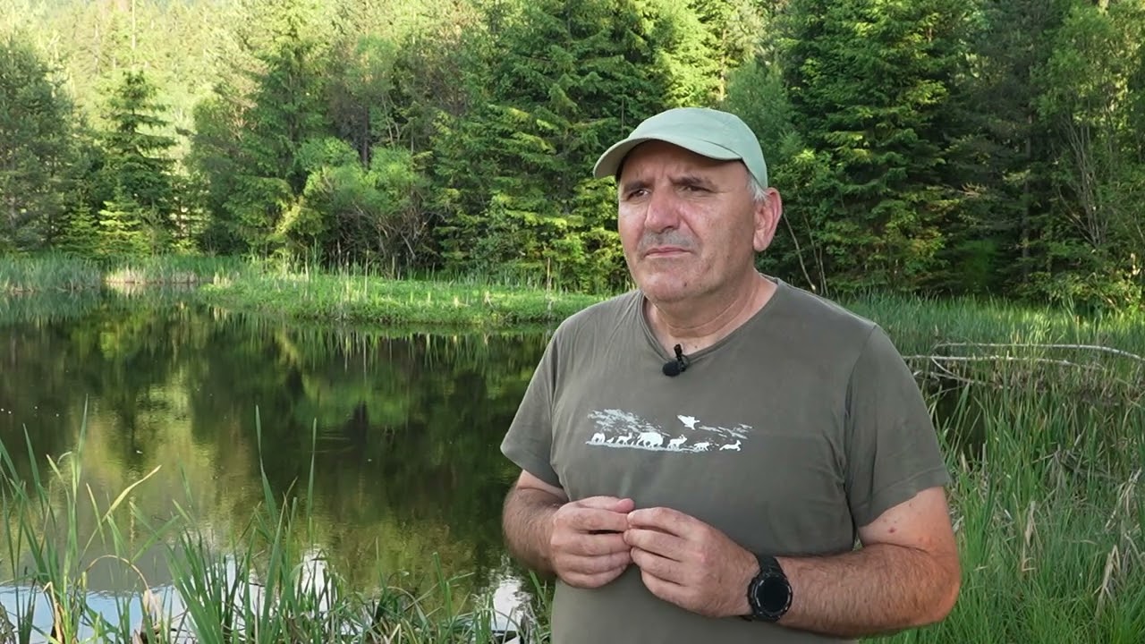Видове в торфищата