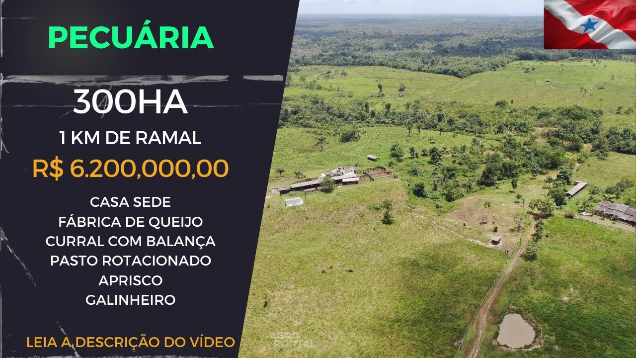 Fazenda de 300 ha pronta para a Pecuária à venda no Pará - Região de Moju | Acará