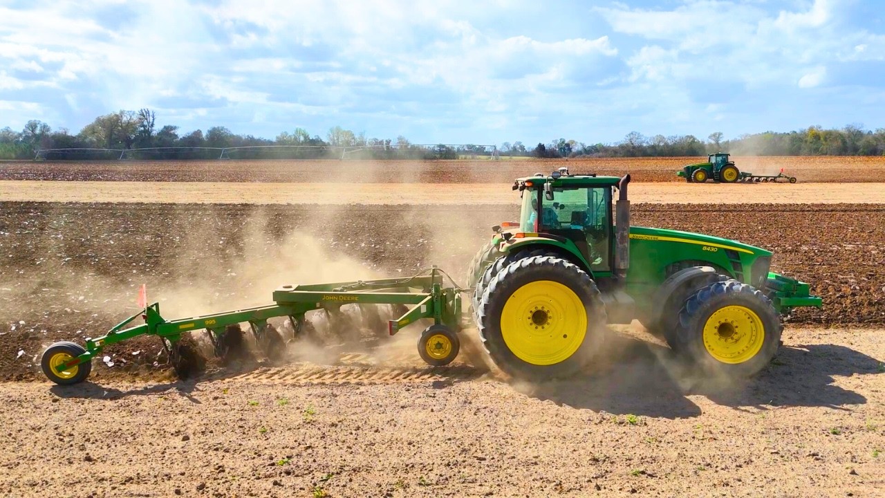 Busy Day Farming In The South