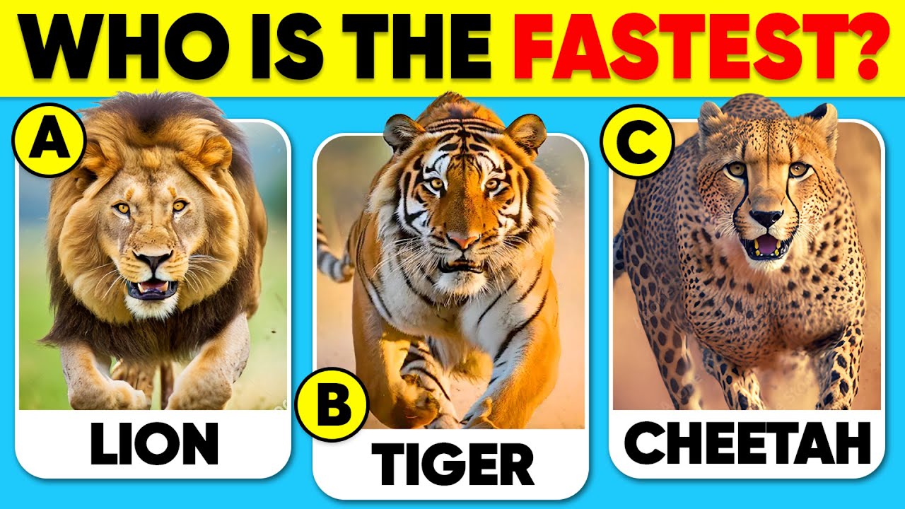 How Good Is Your Knowledge of ANIMALS? 🐅🐆✅ General Knowledge Trivia Quiz