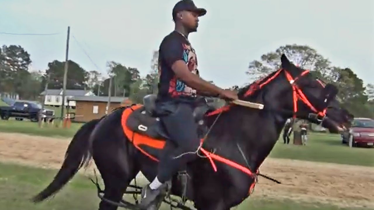 Fast Pacing Standardbred Horses in Texas at Douglassville Horse Race Track