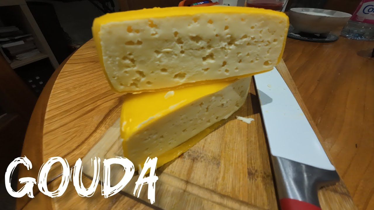 Dégustation de mon Gouda fait maison !