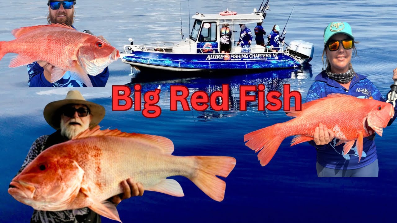 Рыболовные чартеры BIG Red Fish Alure в Северных Территориях