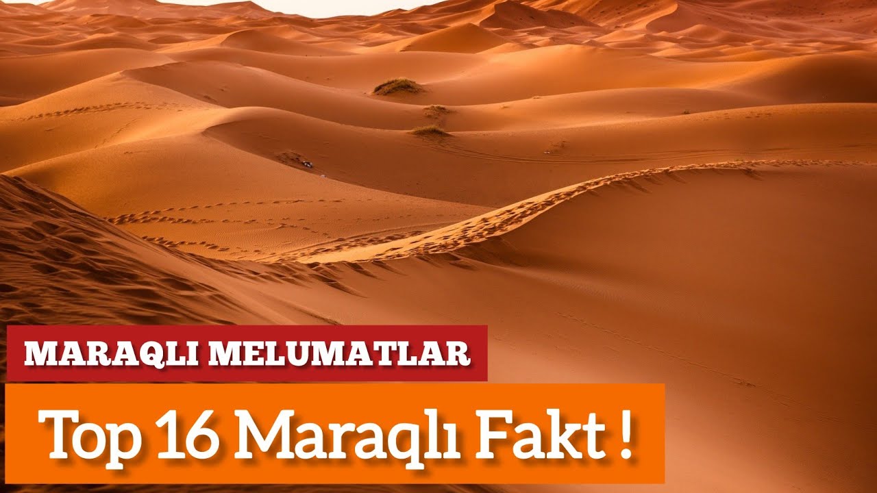 Top 16 Maraqli Fakt - Maraqli Melumatlar
