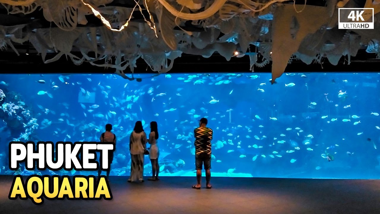 AQUARIA PHUKET Full Walkthrough and Feeding Shows [4K]