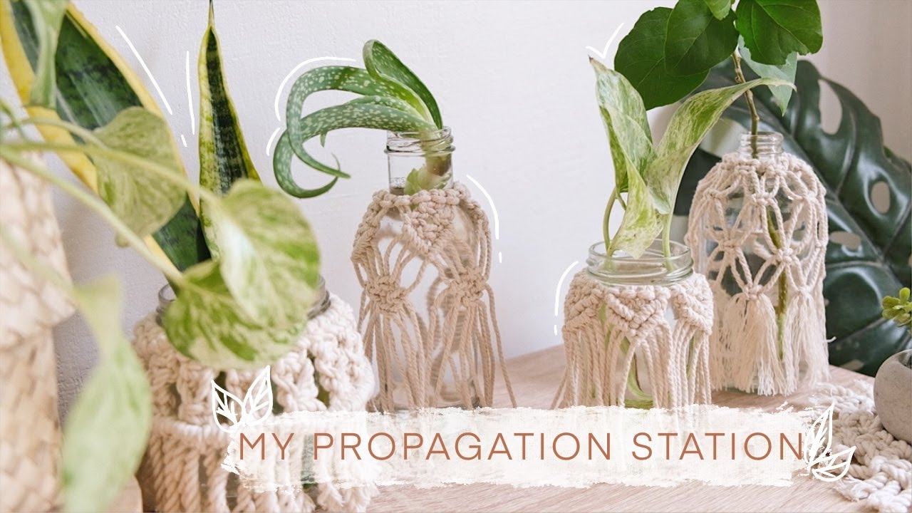 Macrame Propagation Jars | Silent Vlog | Philippines