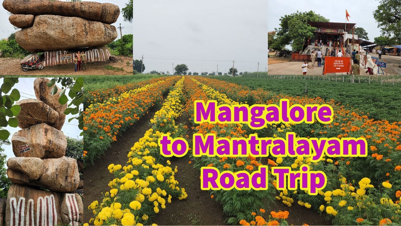 Mangalore to Mantralayam Road Trip | Temples | Flower Farms | Sheep's  | Wind wheel | Lunch |