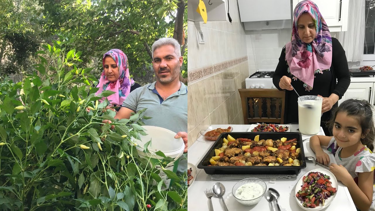 Köy Bahçemizin Süs Biberini Topladık~İnanılmaz Lezzetli Kelebek Akşam Yemeği😍