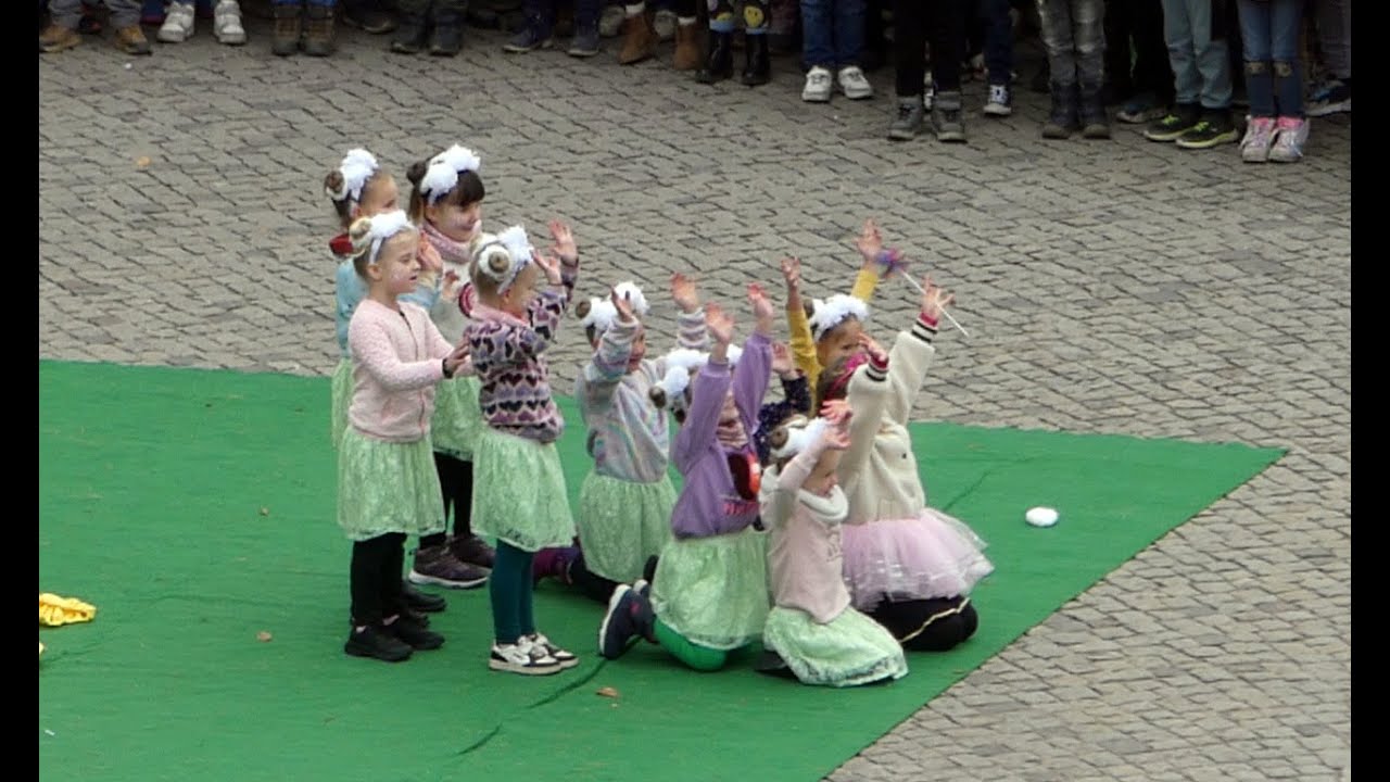 Die Krümel vom ACC am  11.11. 2024