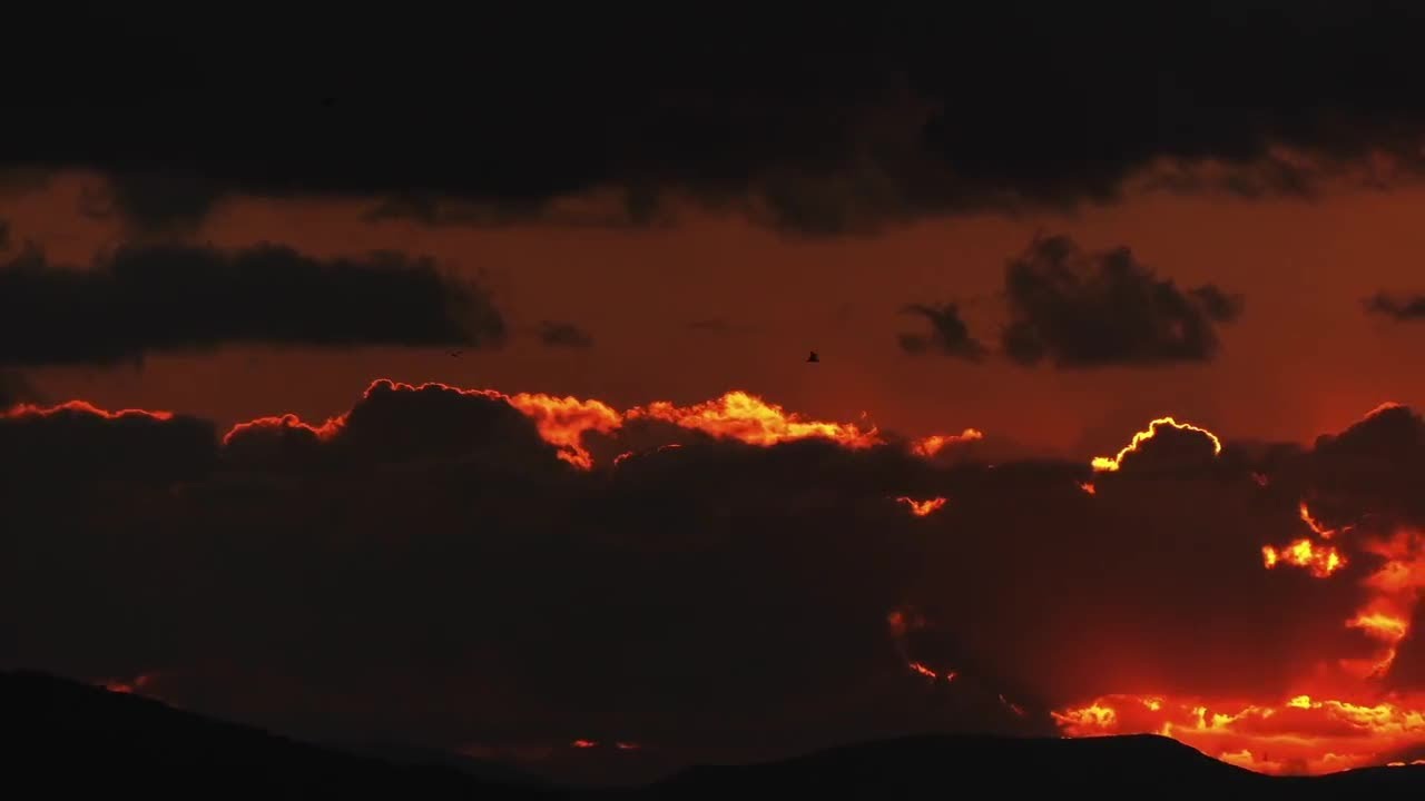 Warm Sunlight Stock Video