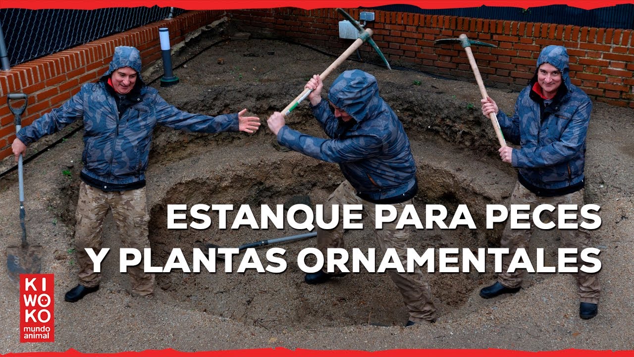 ESTANQUE para PECES y PLANTAS Ornaméntales 🐠【Serie: Parte 1】