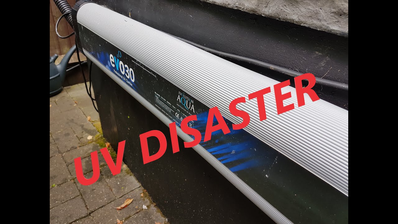 Disaster Changing UV Bulb