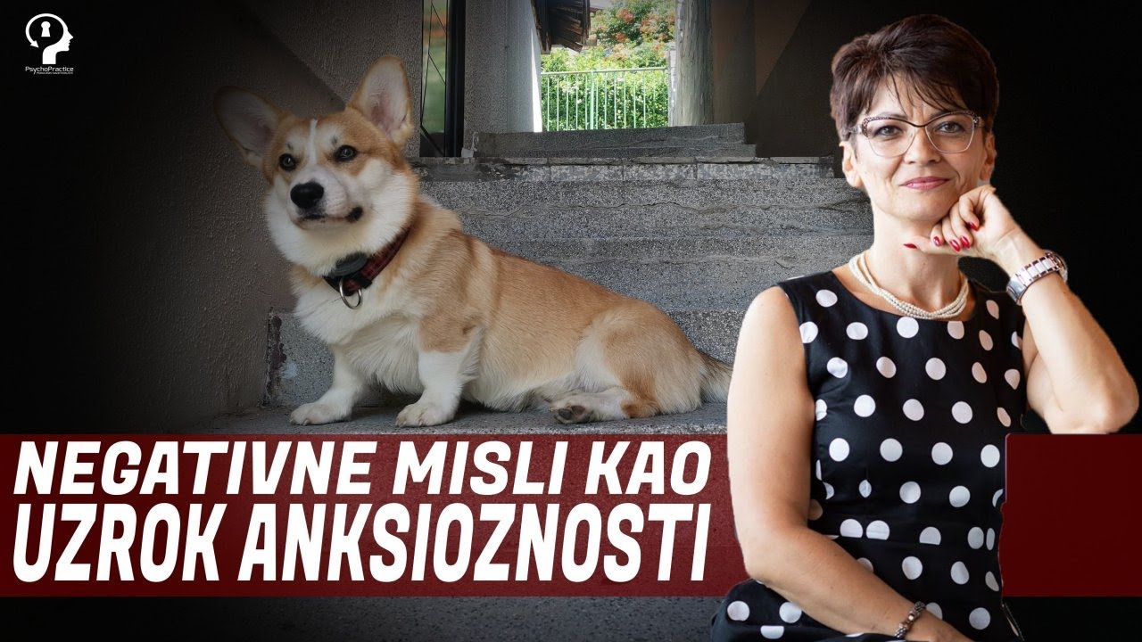 Negativne misli kao uzrok anksioznosti｜prof. dr. sc. Jasna Bajraktarević