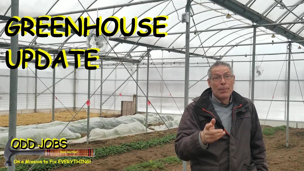 Greenhouse Update