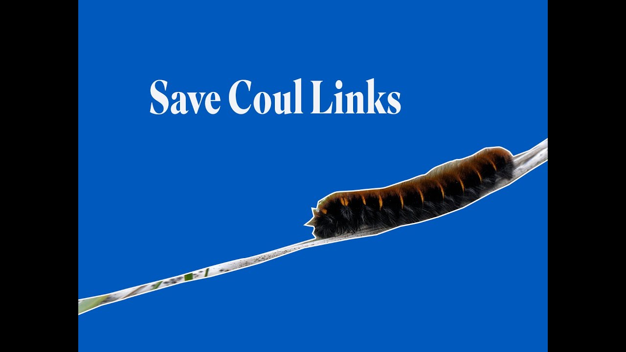 Save Coul Links