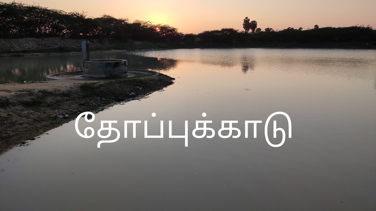 தோப்புக்காடு கிராமம்  இராமநாதபுரம் /thoppukadu village kilakarai