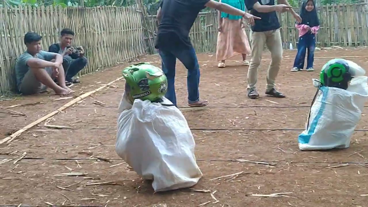 BIKIN NGAKAK😂BALAP KARUNG PAKE HELM