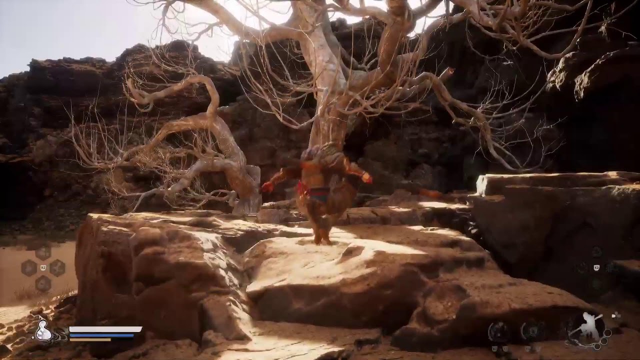 Black myth:Wukong PS5 PRO