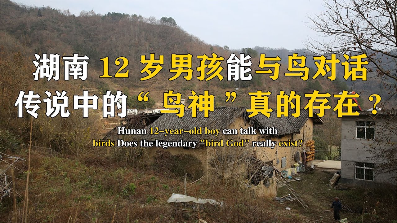 湖南12岁男孩精通鸟语,能指挥小鸟做事，传说中“鸟神”真存在？