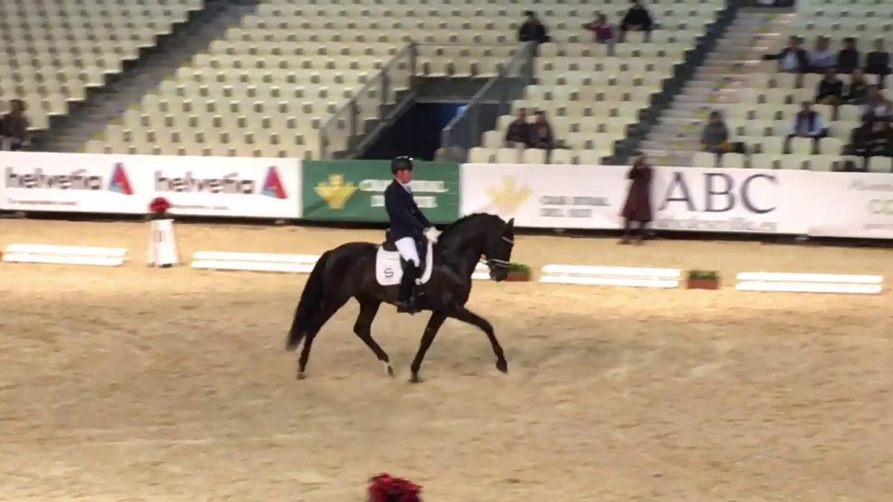 Winner of 5 yr final Copa ANCCE (PRE) SICAB 2017 - 81,80%